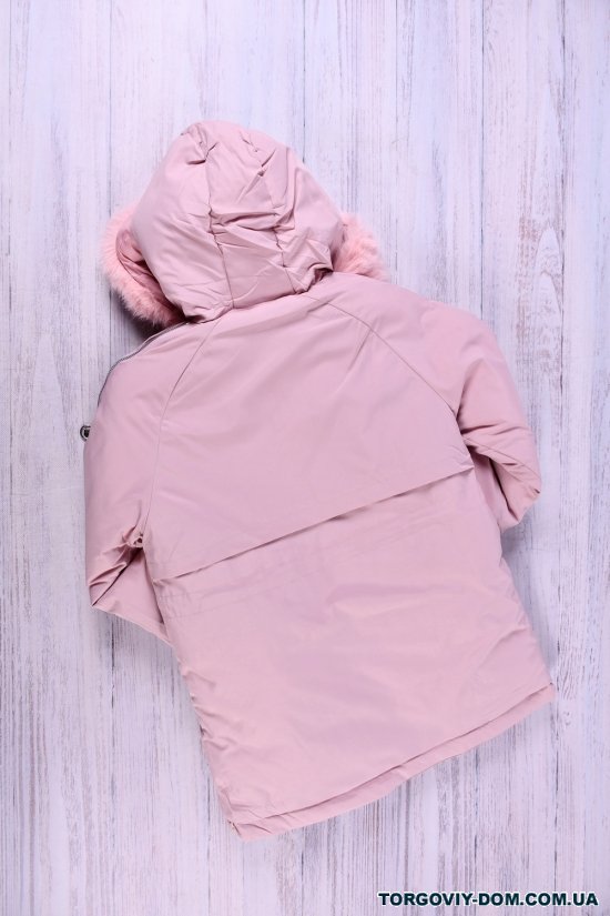 Куртка для девочки (цв.св.розовый) из плащевки зимняя Рост в наличии : 140, 146 арт.077