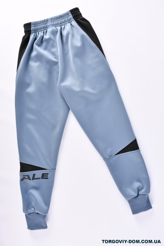 Штани для хлопчика спортивні (кол. синій) (92%Polyester 8%Spandex)"ALE" Зріст в наявності : 110, 116 арт.01713
