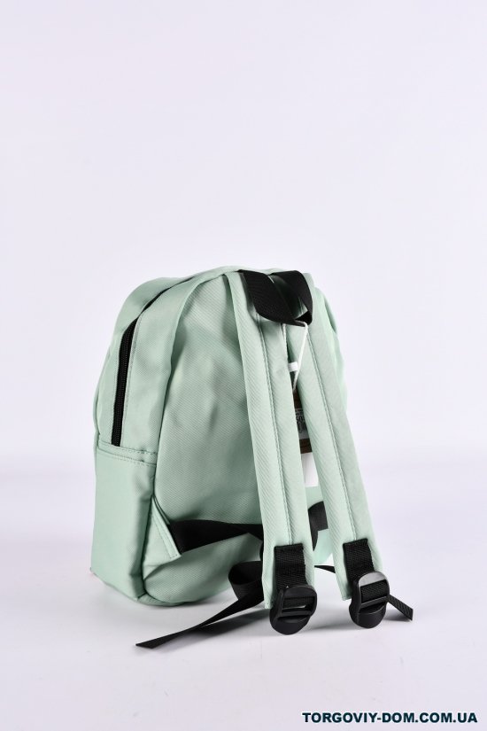Рюкзак з плащової тканини (кол. м'яти) розмір 27/22/8 см. арт.G3659