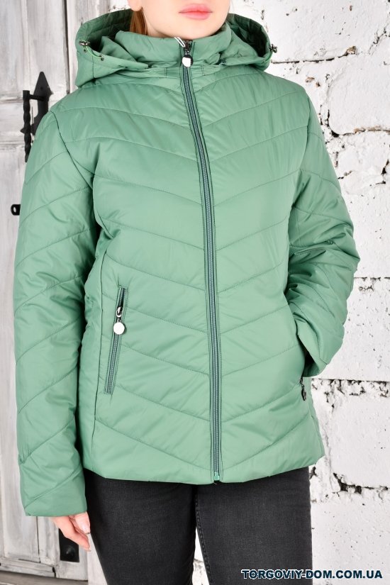 Куртка женская (цв.зеленый) из плащевки демисезонная "FINEBELL" Размер в наличии : 54 арт.2036-1H