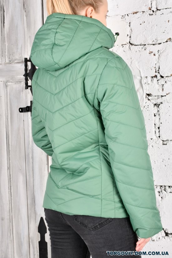 Куртка женская (цв.зеленый) из плащевки демисезонная "FINEBELL" Размер в наличии : 54 арт.2036-1H