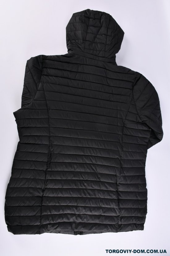 Куртка женская (цв.черный) из плащевки демисезонная "FINEBELL" Размеры в наличии : 52, 54, 56, 58, 60, 62 арт.2132-1