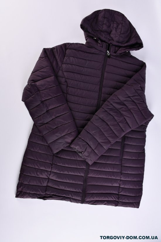 Куртка жіноча (кол. сливовий) з плащової тканини демісезонна "FINEBELL" Розміри в наявності : 52, 54, 56, 58, 60, 62, 64 арт.2132-1