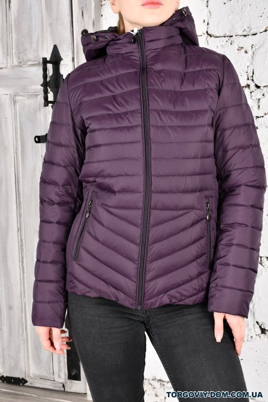 Куртка женская (цв.сливовый) из плащевки демисезонная "FINIBALL" Размер в наличии : 46 арт.2023