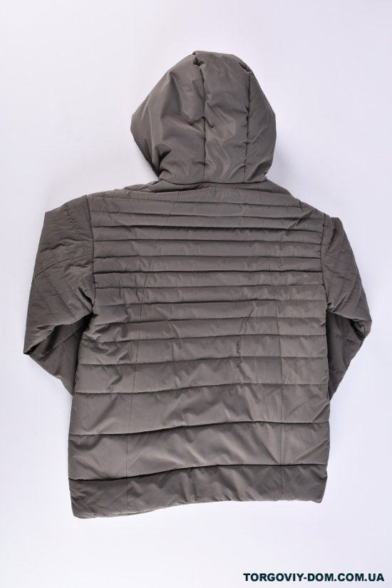 Куртка жіноча (кол. сірий) з плащової тканини демісезонна "Saint Wish" Розміри в наявності : 50, 54, 56, 58 арт.7033