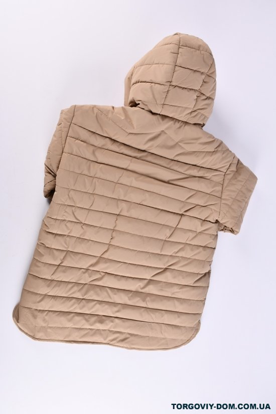 Куртка жіноча (кол. капучино) з плащової тканини демісезонна "Saint Wish" Розміри в наявності : 50, 52, 54, 56, 58 арт.7032
