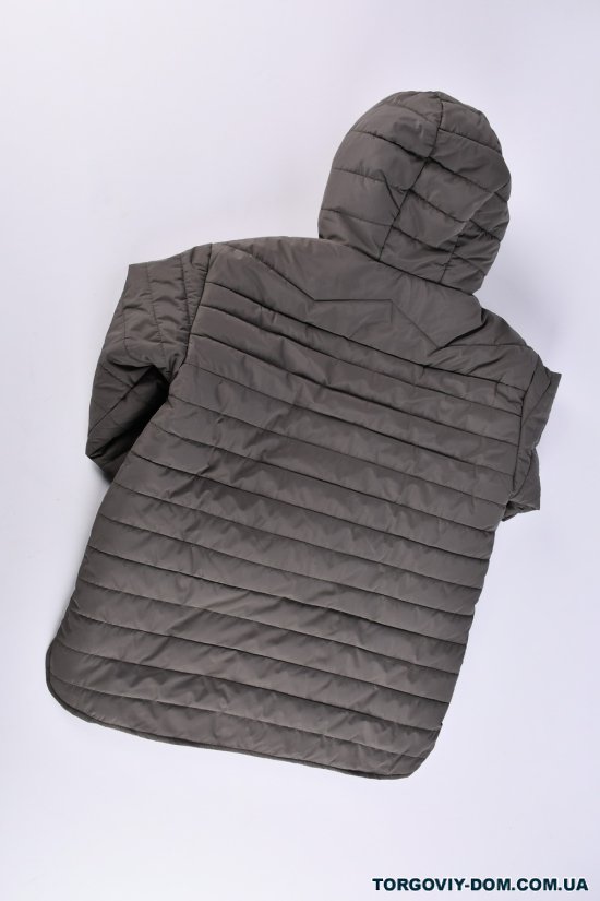 Куртка жіноча (кол. сірий) з плащової тканини демісезонна "Saint Wish" Розміри в наявності : 54, 58 арт.7032