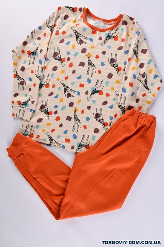 Пижама для мальчика (цв.латте) (ткань интерлок) размер 134-140 арт.228334