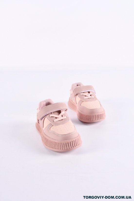 Кросівки для дівчинки "W.NIKO" Розміри в наявності : 26, 27, 28, 29 арт.AG1662-3