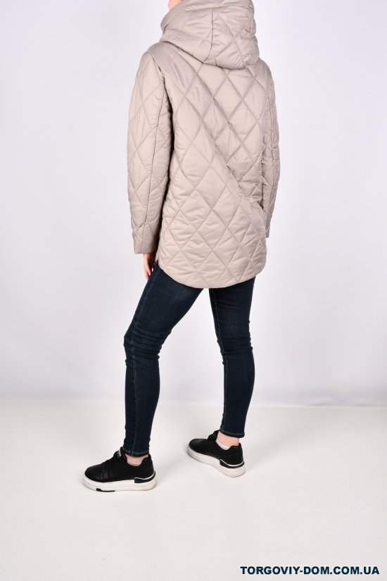Куртка жіноча (кол. латте) демісезонна болонева "CECECOLY" Розміри в наявності : 44, 46, 48, 50 арт.5006