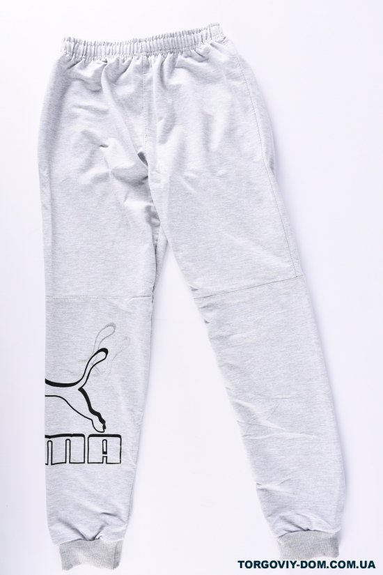 Чоловічі штани (кол. св. сірий) трикотажні Розміри в наявності : 44, 46, 48, 50, 52 арт.006