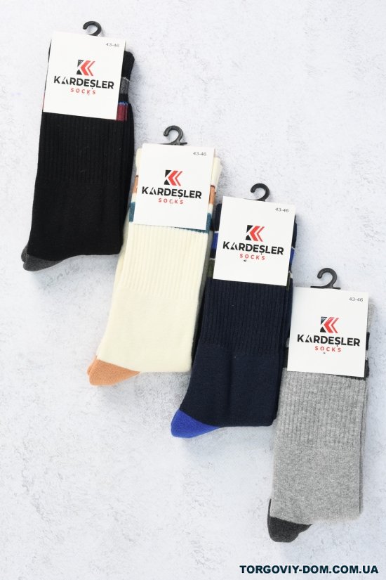 Шкарпетки чоловічі махрові p.43-46 (80% Cotton 17% Polyamide 3% Elastan) "Kardesler" арт.792129