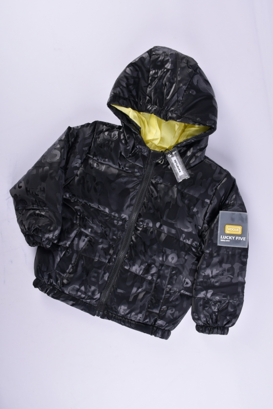 Куртка демисезонная (цв.черный) для девочки болоневая Рост в наличии : 98, 104, 110, 116, 122 арт.06