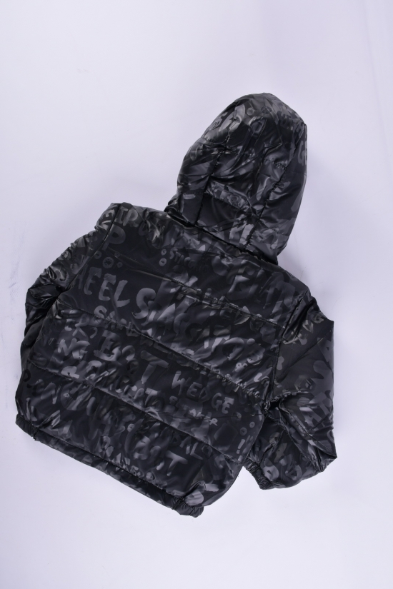 Куртка демісезонна (кол. чорний) для дівчинки болонева Зріст в наявності : 98, 104, 116, 122 арт.06