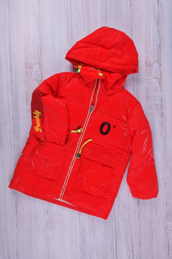 Куртка для дівчинки (кол. червоний) зимова з плащової тканини Зріст в наявності : 98, 104, 116, 122 арт.2100