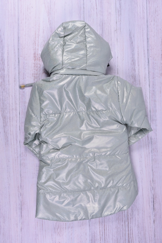 Куртка для девочки (цв.мяты) демисезонная болоневая Рост в наличии : 92, 98, 104, 110, 116 арт.686