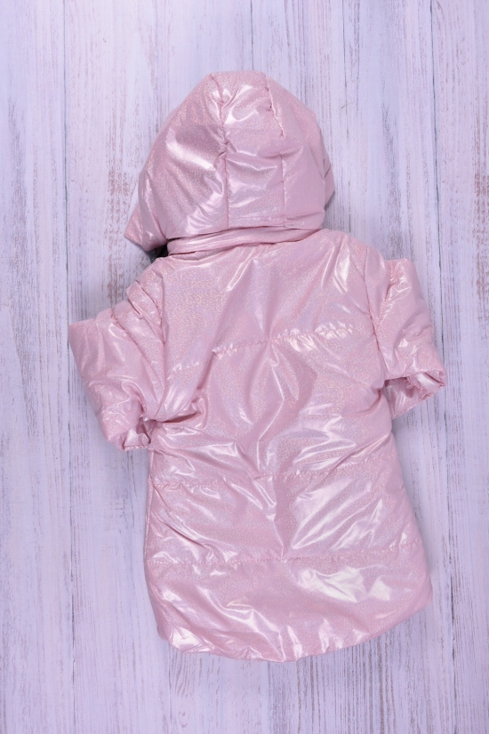 Куртка для девочки (цв.розовый) демисезонная болоневая Рост в наличии : 92, 98, 104, 110, 116 арт.686