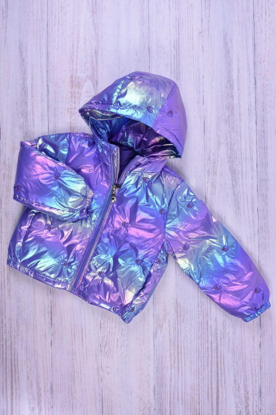 Куртка для девочки демисезонная (цв.фиолетовый) болоневая Рост в наличии : 92, 98, 104, 110, 116 арт.07
