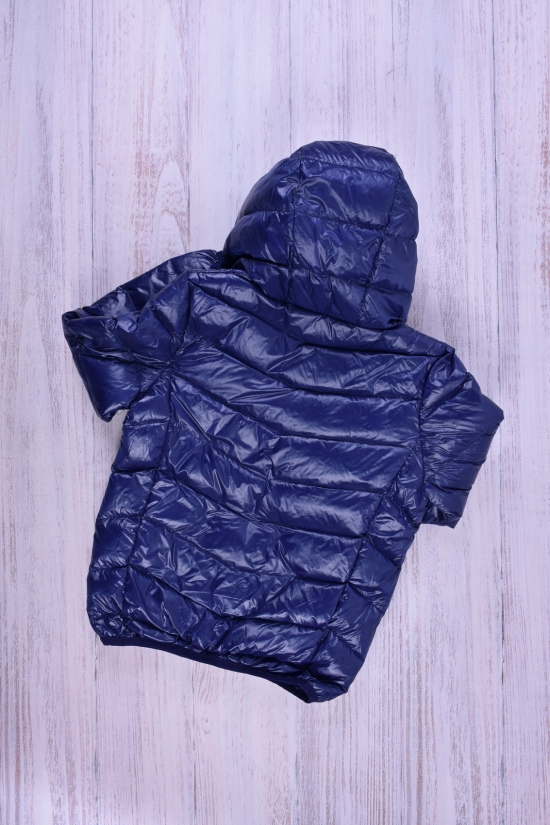 Куртка для девочки (цв.т.синий) болоневая Рост в наличии : 92, 98, 104, 110, 116 арт.013