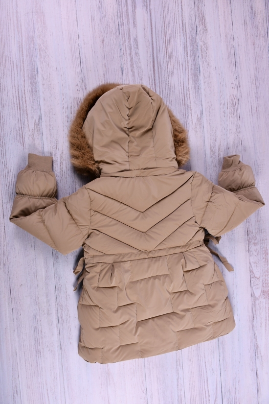 Куртка для дівчинки (кол. капучино) болонева зимова Зріст в наявності : 128, 152 арт.2186