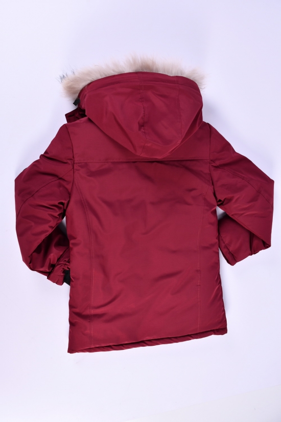 Куртка для мальчика (цв.бордовый) зимняя (100% POLYESTER) Рост в наличии : 140, 146, 152, 158, 164 арт.2308