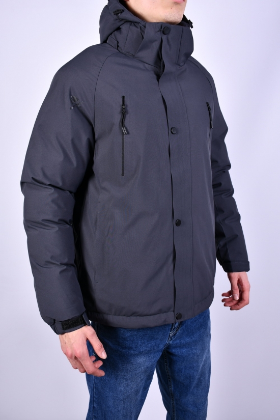 Куртка мужская (color.8) из плащевки зимняя "OKMEL" Размеры в наличии : 46, 48, 50, 52, 54 арт.OK23110