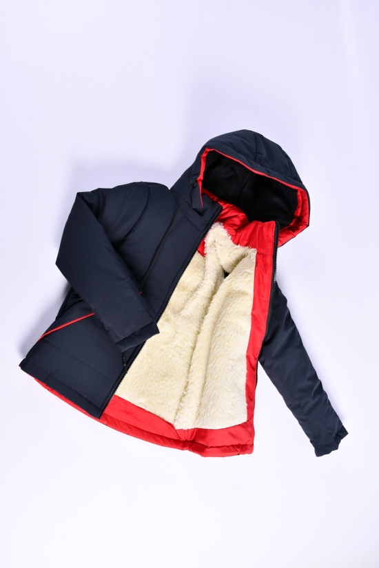Куртка для хлопчика зимова (кол. т. синій/червоний) на хутрі Зріст в наявності : 104, 110, 116, 122, 128 арт.07
