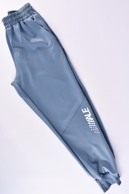 Штани чоловічі спортивні (кол. синій) (95% Polyester 5% Spandex) "ALE" Розмір в наявності : 58 арт.901705