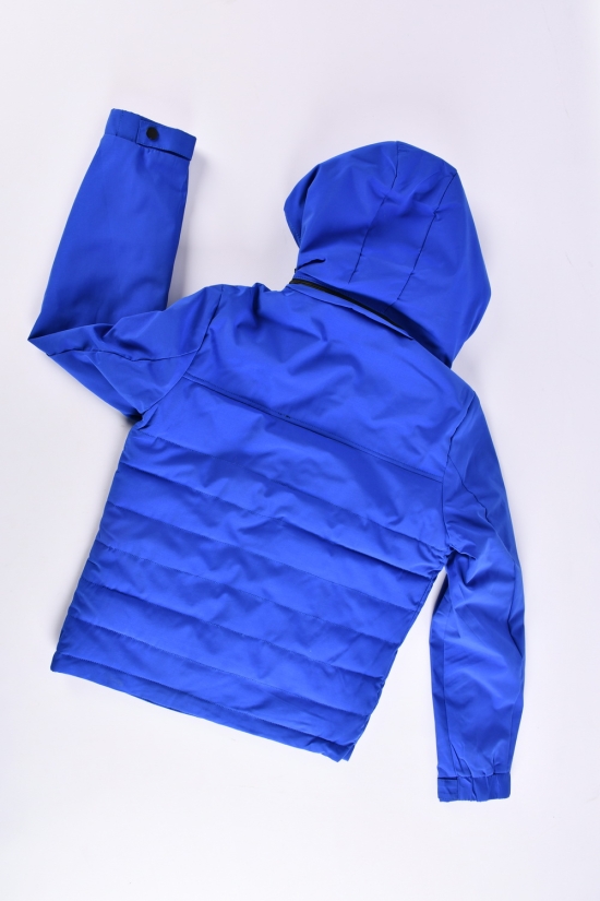 Куртка для хлопчика (кол.2) з плащової тканини демісезонна "PANDA" Зріст в наявності : 146, 152, 158, 164, 170 арт.L7712