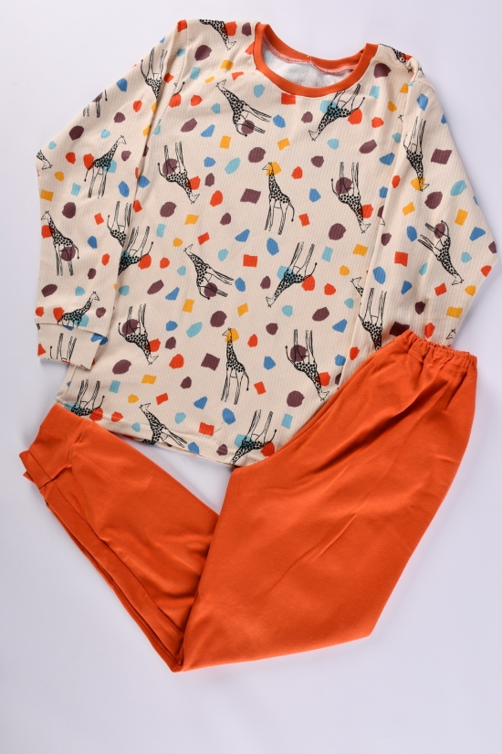 Піжама для хлопчика (кол. латте) (тканина інтерлок) розмір 134-140 арт.228334