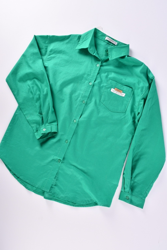 Рубашка женская (цв.зеленый) "QIANZHIDU" Размеры в наличии : 44, 46, 48, 50, 52 арт.EC16352083