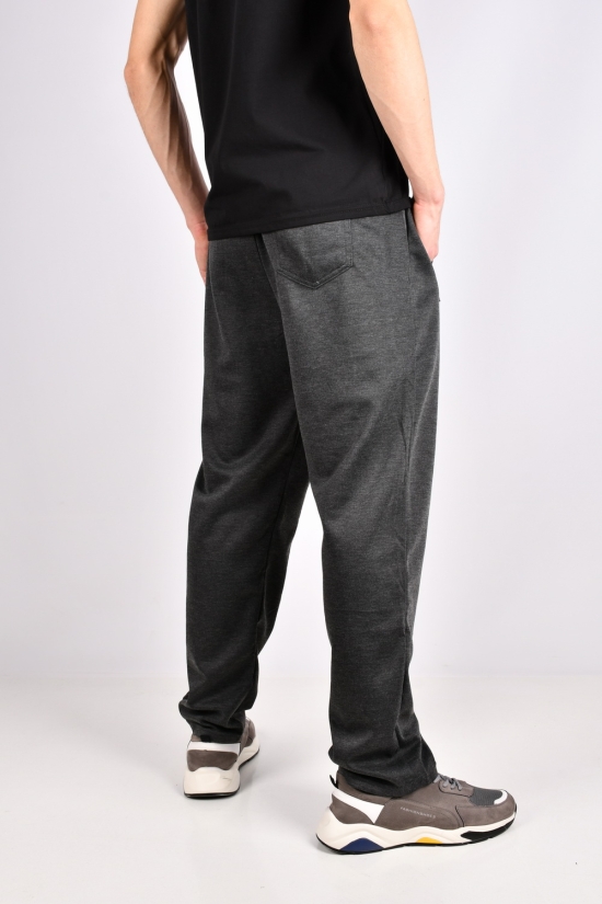 Чоловічі штани (кол. т. сірий) трикотажні "BACK CYCLONE" Розміри в наявності : 48, 50, 52, 56 арт.WK-7066